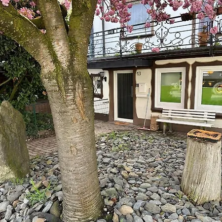 Mola Apartments-Ferienwohnung Fuer 5 Personen-Separater Eingang-Gratis Parkplatz-Terrasse-Grill-Highspeed Wlan-Auch Fuer Langzeit Geeignet Wetter (Ruhr) Exterior photo
