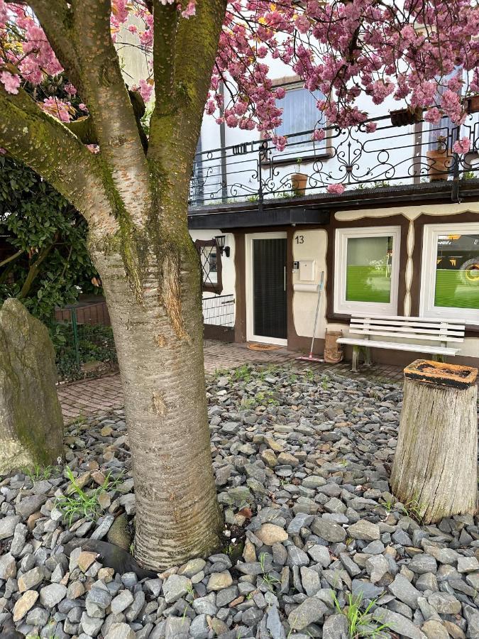 Mola Apartments-ferienwohnung Fuer 5 Personen-separater Eingang-gratis Parkplatz-terrasse-grill-highspeed Wlan-auch Fuer Langzeit Geeignet
